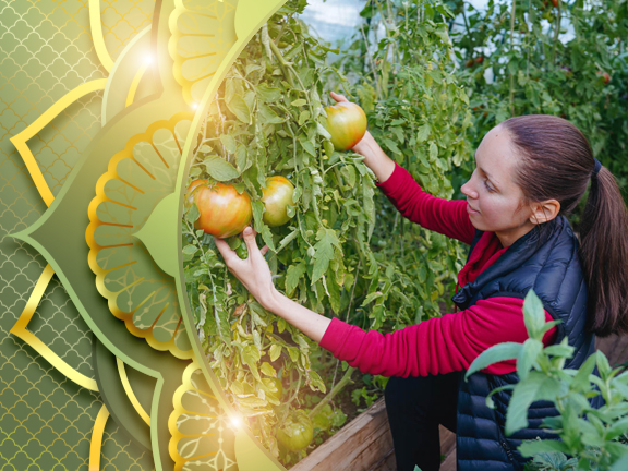 Фотографии