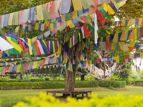 Практика в местах силы. Пещеры йогов в Непале