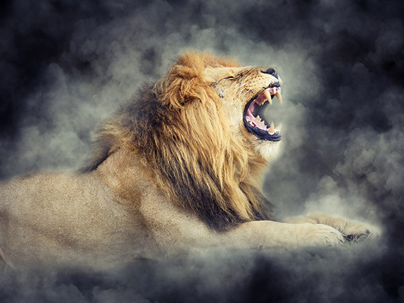 Сила знания