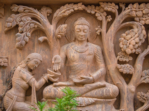 Жалость и Сострадание