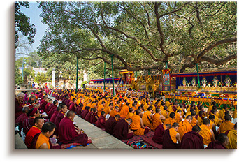 Бодхгая - Монахи у Дерева Бодхи