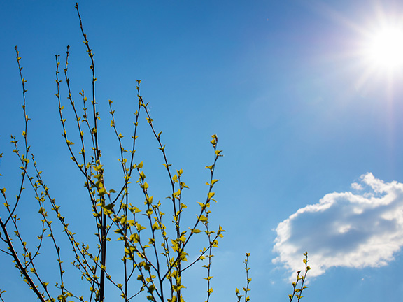 Энергия безмолвия. Отзыв о випассане