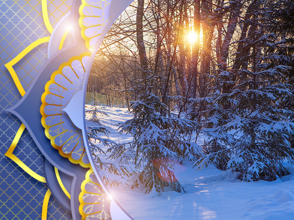 Январь 2017, Випассана "Погружение в тишину"