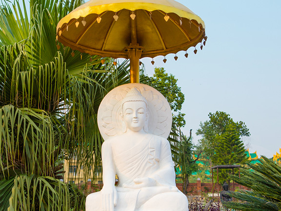 Джатака об олене Руру