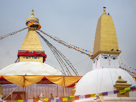 Джатака об олене