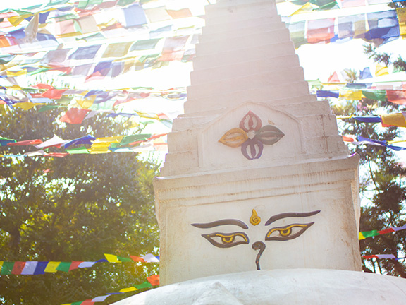 Канкхейя сутта: В замешательстве