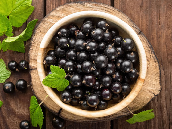 Чёрная смородина: польза и вред