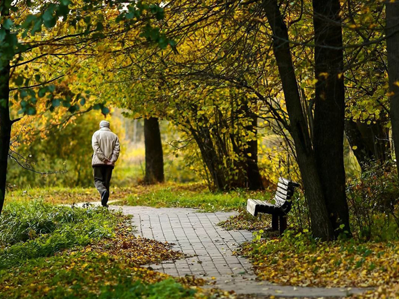 Куда уходят дедушки