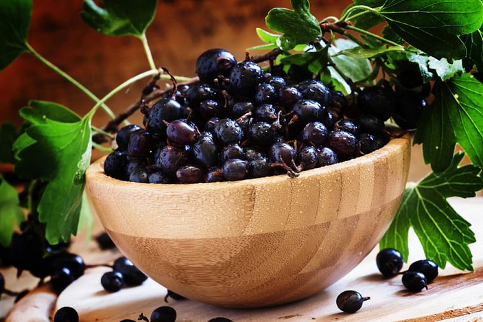 черная смородина в чашке фото