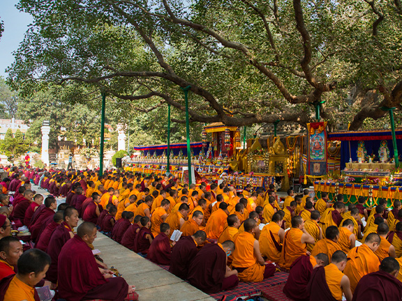 много буддийских монахов у дерева бодхи