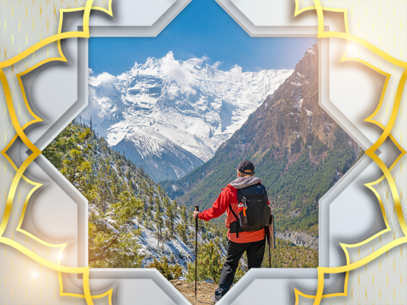 Фотографии