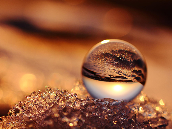 Царство разума