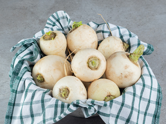 Польза и вред репы для здоровья