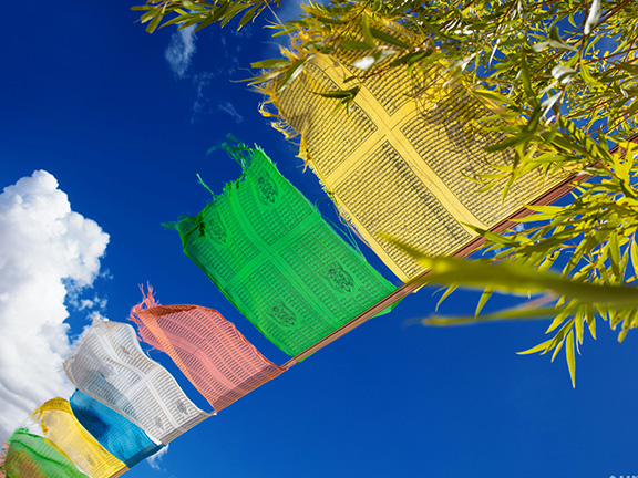 Татхагатагарбха сутра