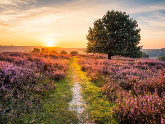 Своя тропинка