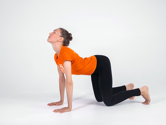 Марджариасана