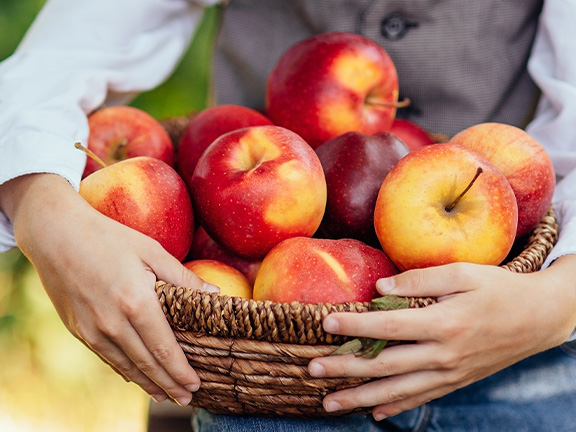 Яблоки: польза и вред для организма