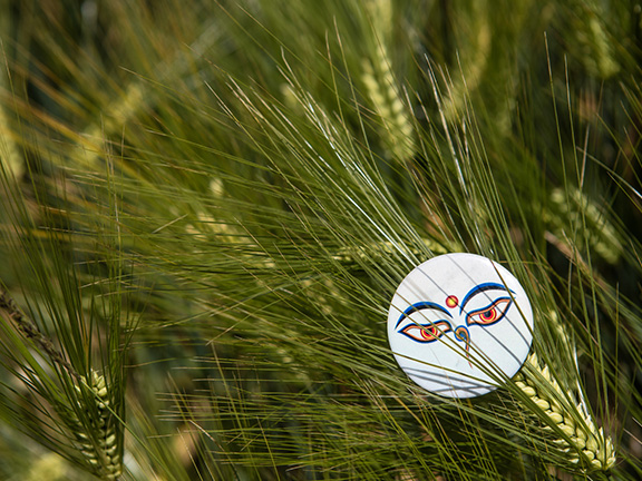 Упасака сутра