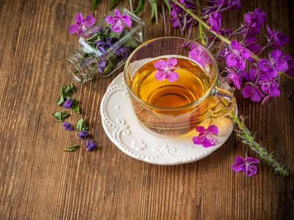 Польза и вред Иван-чая (кипрей): состав, противопоказания, как заваривать и пить