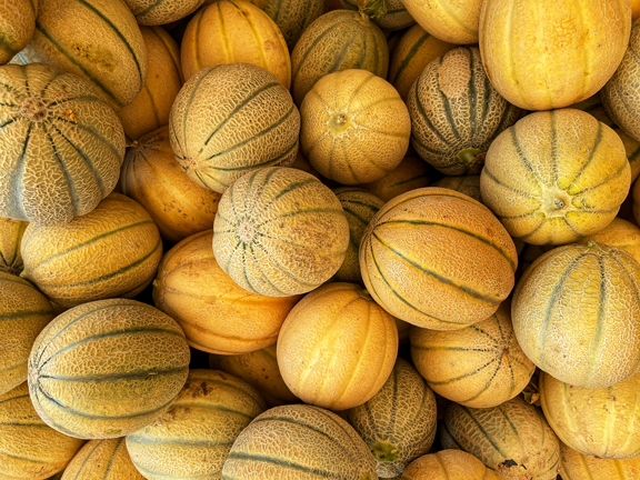 Дыня: чем полезна, как есть и выбирать