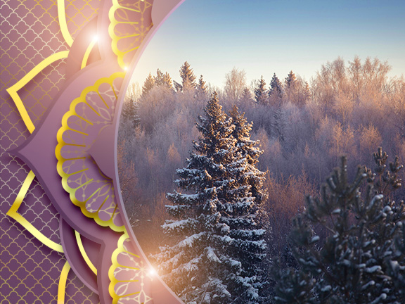 Январь 2016, Встреча друзей из прошлых жизней