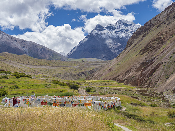 Джатака о драгоценных камнях и кабанах