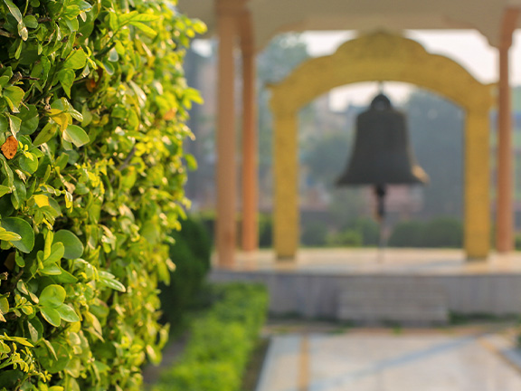 Джатака о шакале фото