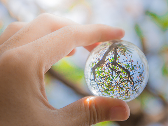 Игра в жизнь