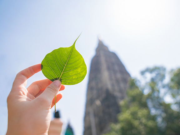 Четыре безмерных состояния ума