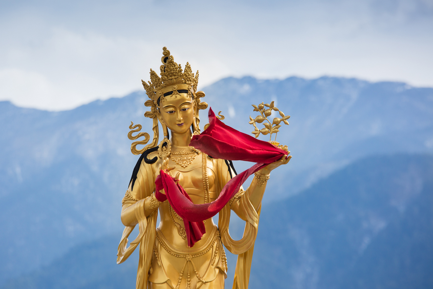 image-118137-1642676525