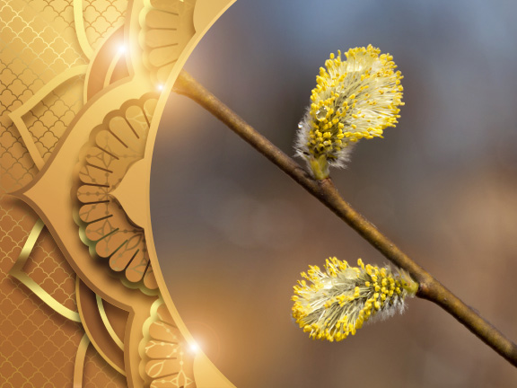 Весенняя природа в Культурном Центре "Аура"