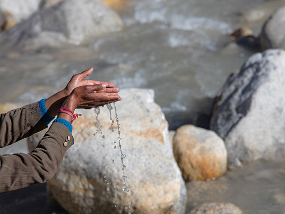 Случай Пракаша Варшни из книги Яна Стивенсона «Двадцать случаев, заставляющих задуматься об реинкарнации»
