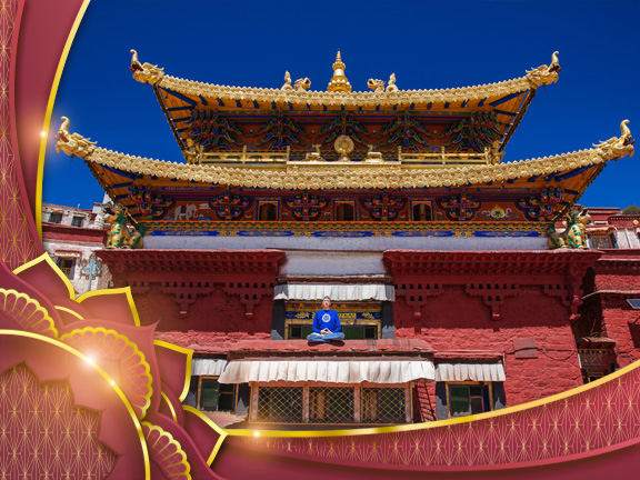 Фотографии