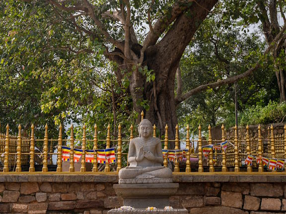 Джатака о царе