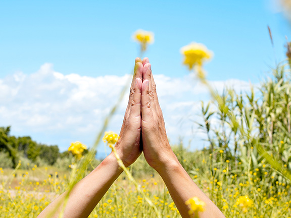 женские руки в намасте на природе