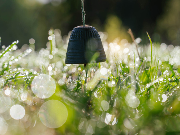 Випассана-ретрит «Сила Безмолвия» в ретритном центре «Аура», Ярославская область