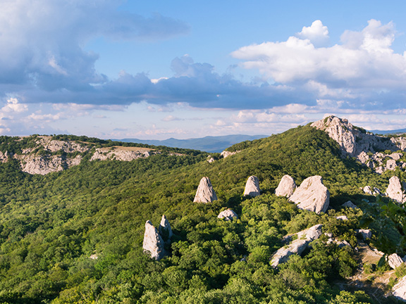 Звуки природы