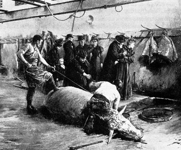 Двор смерти. Степан Радаев