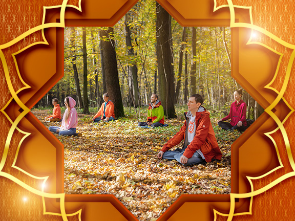 Фотографии