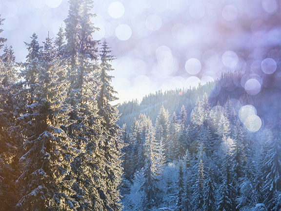 Боги древних славян. Дед Мороз