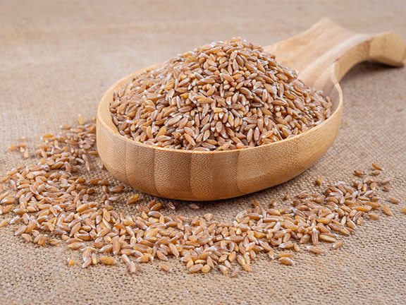 полбяные зерна в ложке