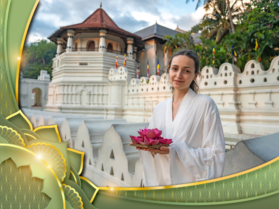 Фотографии