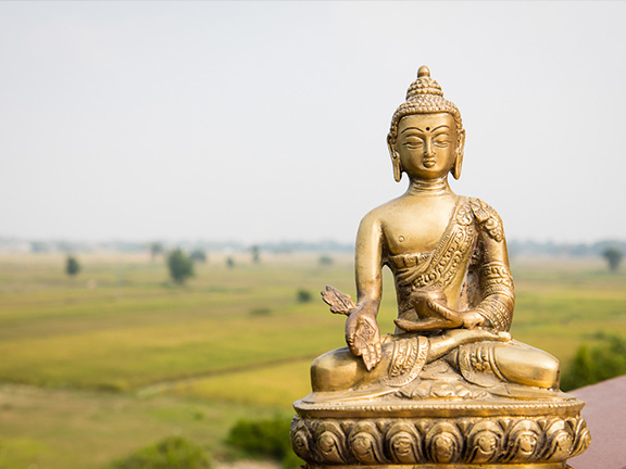 Джатака о Салуке