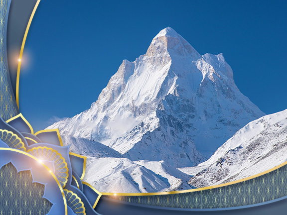 Фотографии