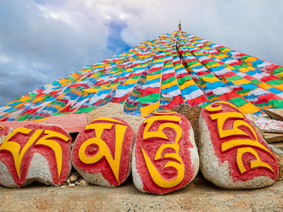 Джатака о Кашьяпе Мохнатом