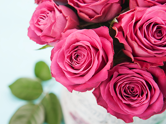 Роза — символ мира и любви