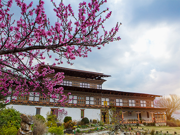 Джатака о пище для умерших