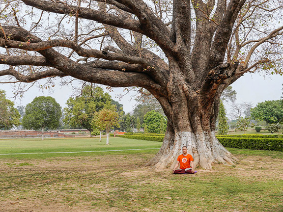Джатака о птице (I)