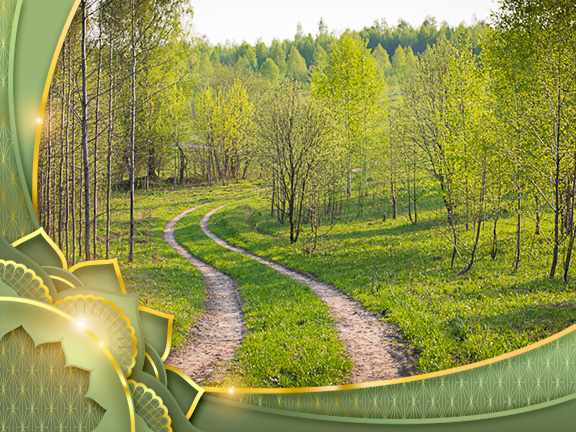 Фотографии клуба OUM.RU