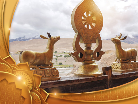 Фотографии